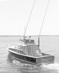 The Black Prince in Woods Hole Harbor