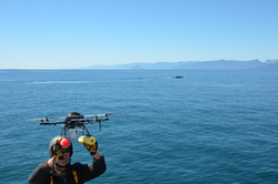 Michael Moore releasing a drone during whale research expedition.