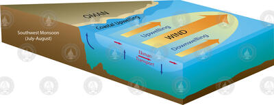 Southwest Monsoon wind and ocean interaction dynamics.