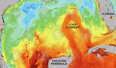 Loop Current in the Gulf of Mexico.