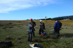 Researchers gathering cores on the Kenai Peninsula in Alaska.