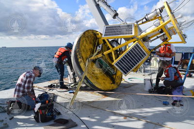 Mooring buoy being serviced on the fantail for redeployment.