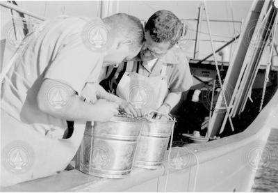 Nat Corwin and Francis Richards on deck looking at samples