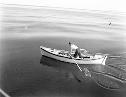 Adrian Lane in Great Dinghy.