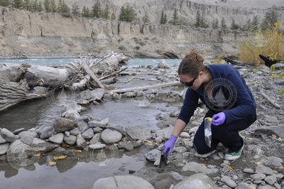 Britta Voss sampling riverbank sediment.