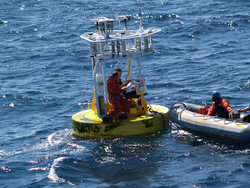 Jeff Lord and Frank Bahr repairing the gulf stream buoy in the water.