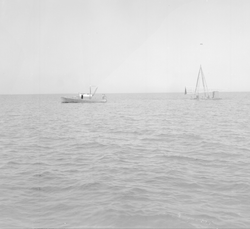 Mytilus towing Euphausia Raft in Great Harbor.