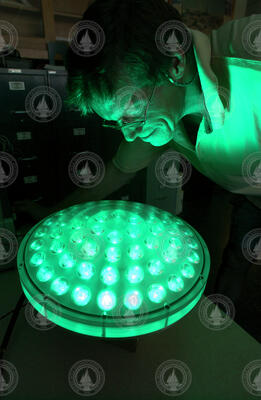 Terry Hammar testing the LED lighting system for SeaBED.
