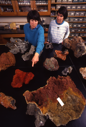 Meg Tivey and Margaret Sulanowska with rock collection.