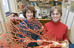 Lauren Mullineaux and Susan Mills holding a coral specimen.