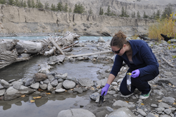 Britta Voss sampling riverbank sediment.
