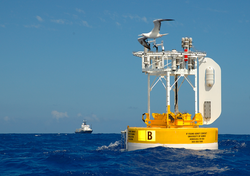 A booby hovers over WHOTS III buoy, with R/V Roger Revelle in background.