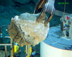 Manipulator arm grabbing a rock during Alvin dive 3814.