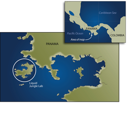 Location map for Liquid Jungle Lab, off the coast of Panama.