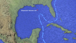 Gulf of Mexico loop current and the location of the DWH oil spill.