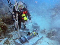 T. Aran Mooney deploys autonomous underwater device on a reef.