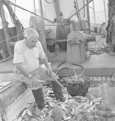 William Schroeder sorting fish on deck of the Captain Bill II.