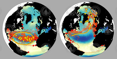 Concentration of marine microplastics in the ocean on 2 globe models.