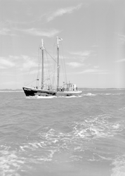 Full view of schooner Reliance under motor power.