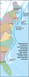 North Atlantic Right Whale migration pattern along the US East coast.