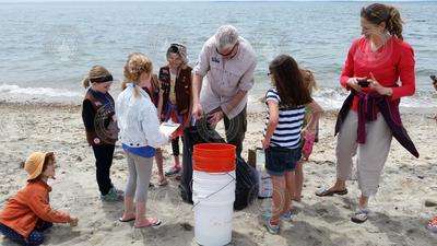 Jeffrey Brodeur and Heather Benway show local Brownies how to clean a beach.