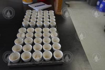 Sample cups arranged on trays.
