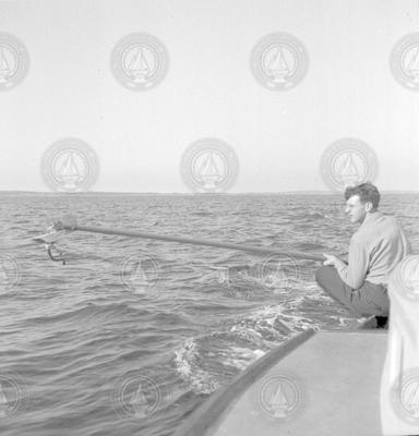 Andrew Bunker with instrument extended over side of Mytilus