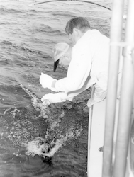 Frank Mather fishtagging at sea