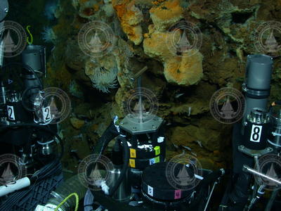 IGT's and corer mounted on ROV Jason sampling vent areas.