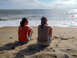 Elizabeth Halliday and Becky Gast gauging the placement of array samplers.