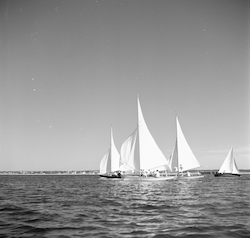 Boats in Vineyard.
