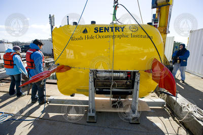 AUV Sentry in position for launch at the WHOI dock.