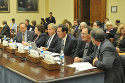 Panel of experts gathered to testify before the congressional hearing.