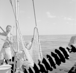 Herb Curl working with large net aboard Chain