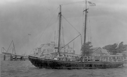 Full view of schooner Reliance, flag on top