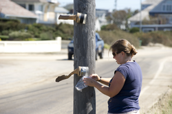 Andrea Hawkes retrieving samples from containers after the hurricane.