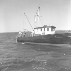 Asterias, with net over side