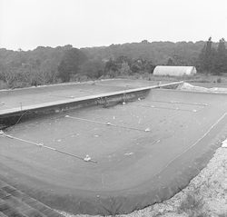 Aquaculture at Environmental Systems Laboratory.