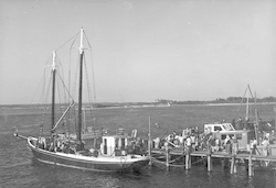 Schooner Reliance at crowded dock.