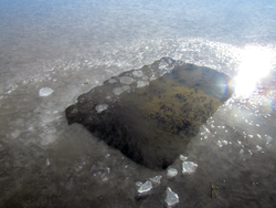 Water and mud below a hole in a frozen freshwater pond.