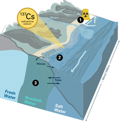 The location of the power plant disaster and the story of its continued effects.