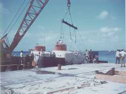 Sea Cliff and Turtle at unknown dock