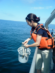 Kristen Hunter-Cevera collecting sampling water with a bucket from Tioga.