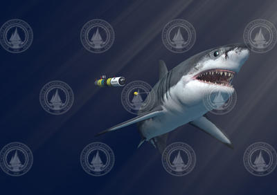 Illustration of a great white shark being chased by REMUS SharkCam.