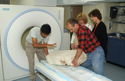Hanu Singh and Peter Landry loading coral onto CT scanner.
