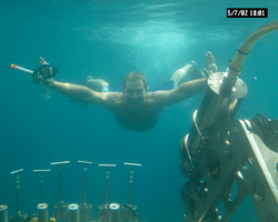 Divers under water with Alvin during Alvin dive 3782.