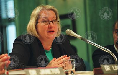 Diana Liverman testifying before the Senate committee