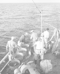 Group aboard Crawford working with lines and buckets