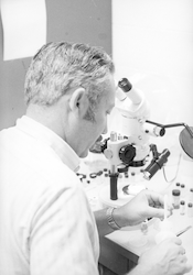Howard Sanders at work in Biology laboratory