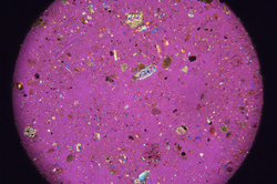 Mud smear seen through a microscope,  Sample BJ-8-3 GGC-100